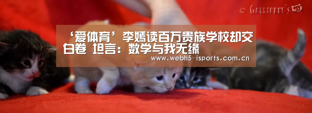 爱体育入口