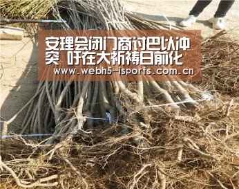 安理会闭门商讨巴以冲突 吁在大祈祷日前化解危机_爱体育入口(图2) 爱体育APP