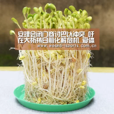 安理会闭门商讨巴以冲突 吁在大祈祷日前化解危机_爱体育入口(图1) 爱体育入口