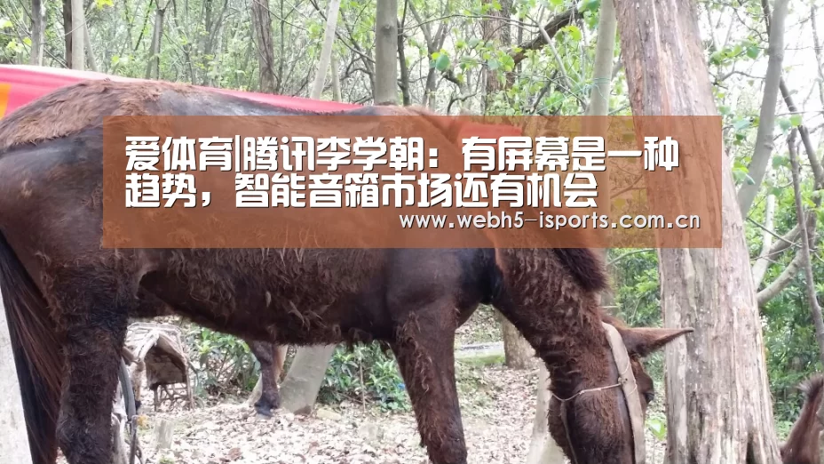 爱体育入口