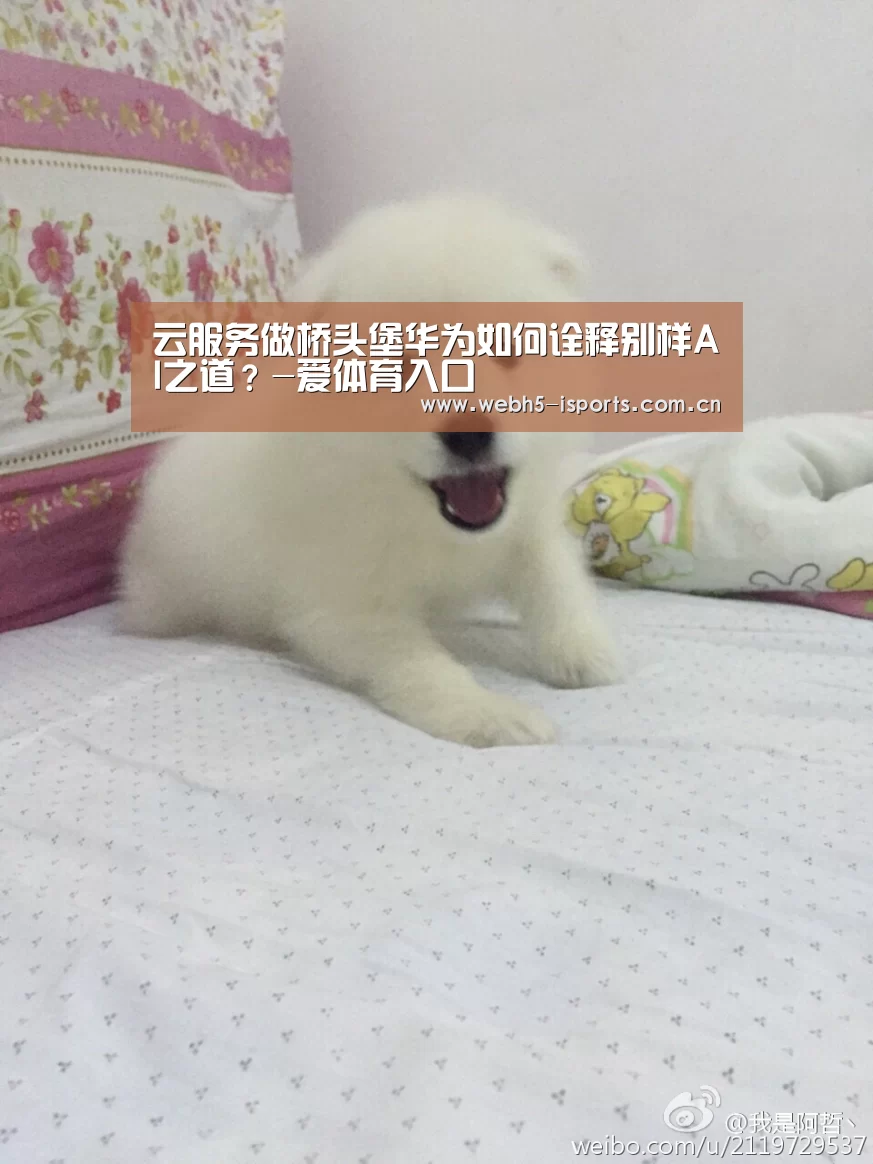 爱体育