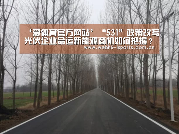‘爱体育官方网站’“531”政策改写光伏企业命运新能源商机如何把握？